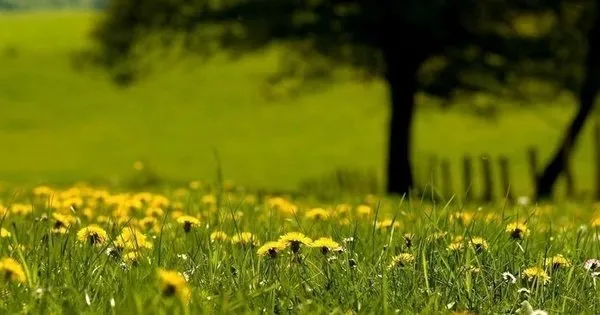 Cemre düşme tarihleri 2022: Cemre ne zaman düşecek, ilk cemre düştü mü?