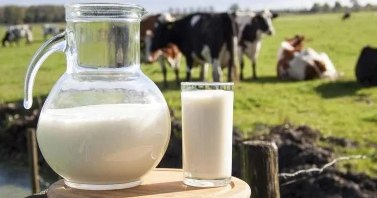 Çiğ süt tavsiye fiyatları 1 Ekim’den geçerli olacak şekilde yeniden belirlendi