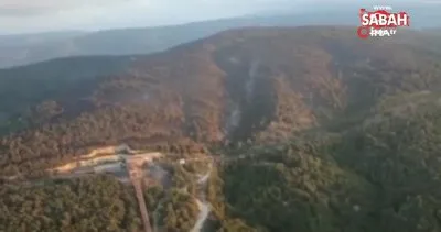 Soma’daki orman yangınının etrafı çevrildi | Video