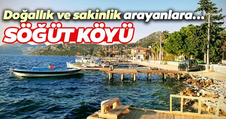 Bir tatlı huzur almaya geldim