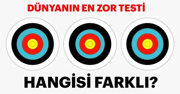 Dünyanın en zor testi! Hangisi farklı
