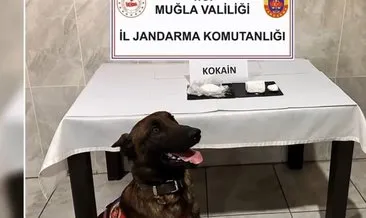 Muğla’da torbacı ağına darbe: 73 gözaltı, 43 tutuklama #mugla