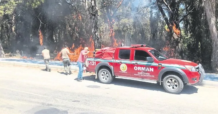 Sigara izmariti ormanı yaktı