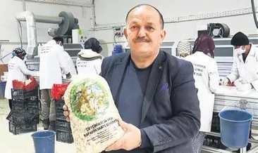 Kapadokya susuz sarımsak yetiştiriyor