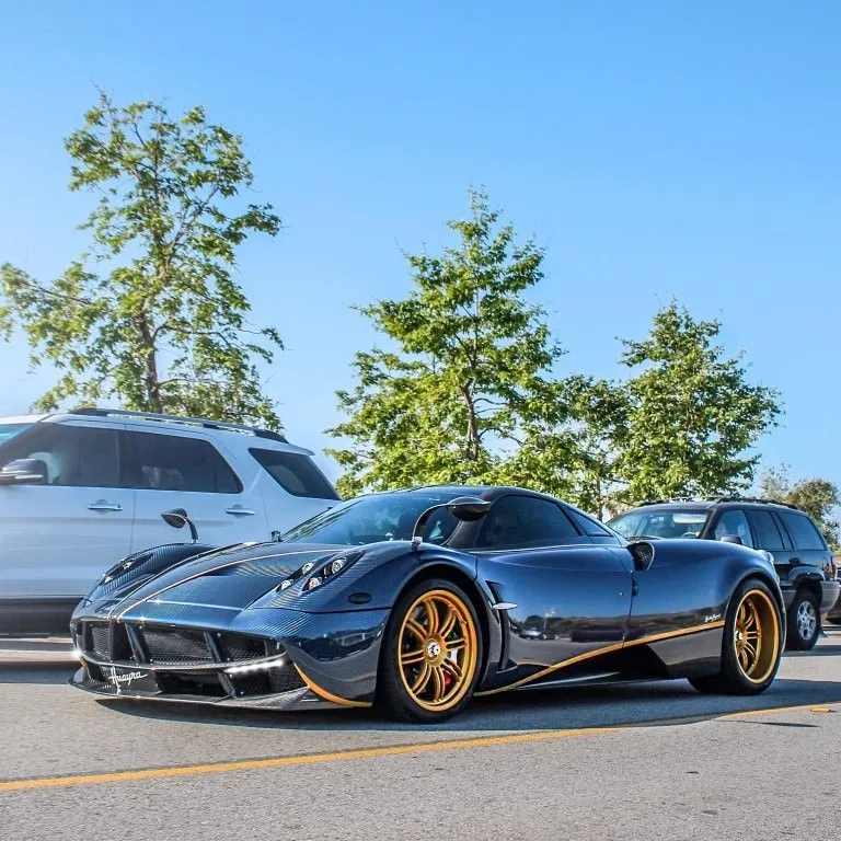 Pagani директор
