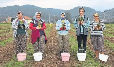 Örnek girişimci Aslı