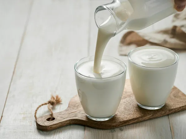 evde-naneli-ve-sodali-ayran-nasil-yapilir-puf-noktalariyla-tam-olculu-tarifler-1783756044242.jpg