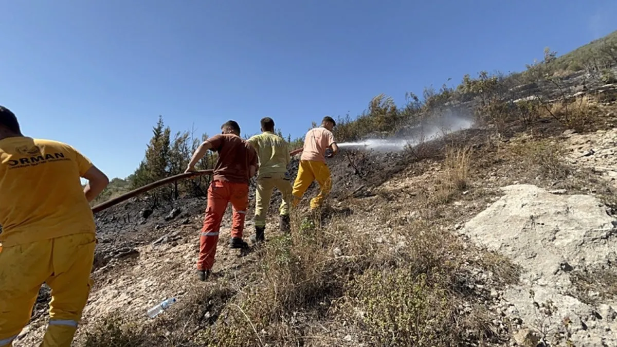 Hatay’da ormanlık alanda yangın çıktı: Ekipler kısa sürede kontrol altına aldı! Hatay’da ormanlık alanda yangın çıktı: Ekipler kısa sürede kontrol altına aldı!