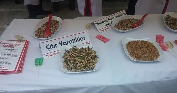 Son 24 saatte yurtta 3. sayfa haberleri