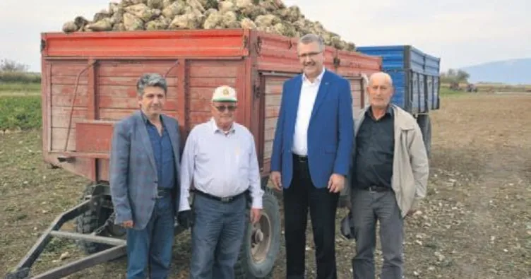 Karacabey’de şeker pancarı bereketi