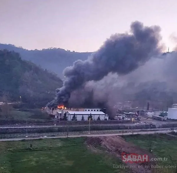 Trabzon’da balık fabrikasının soğuk hava deposunda yangın çıktı