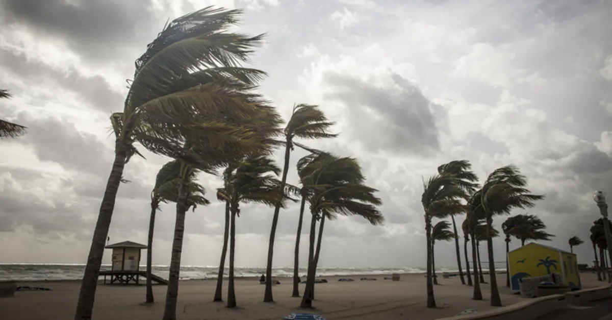 Rüzgar Çeşitleri ve İsimleri - Dünyadaki Rüzgar Türleri Kaça Ayrılır, Yönleri ve Özellikleri Neler?