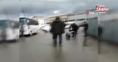 Son dakika: İstanbul Sultanbeyli’deki pitbull köpeği dehşetinin görüntüleri ortaya çıktı | Video