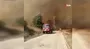 Adana’da orman yangını çıktı | Video
