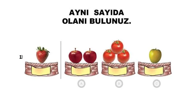 66. ay okuma öğrenmeye hazır mı?