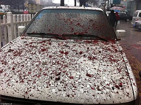 Hatalı parkın cezası...