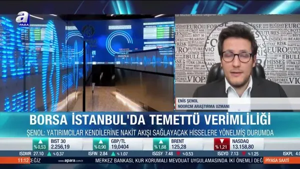 Borsa İstanbul'da hangi hisseler öne çıkabilir? Enis Şenol: Temettü verimi yüksek hisseleri seçmek önemli