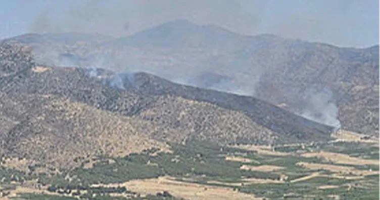 Manisa’da orman yangını