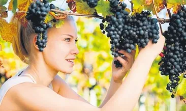 Salkımında şifa gizli üzüm