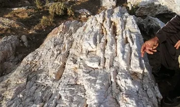 Erzurum’da altın madeni bulundu