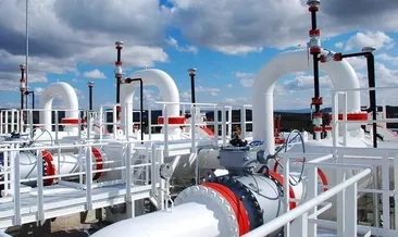 Doğalgazda 81 ilde 81 hedefi için geri sayım