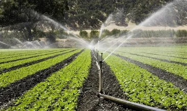 Tarımsal sulamada yüzde 50 indirimin esasları belirlendi! Devlet ödeme yapacak