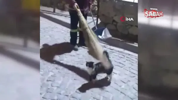 Elazığ'da temizlik görevlisiyle sokak kedisi arasındaki dostluk yüzleri gülümsetti