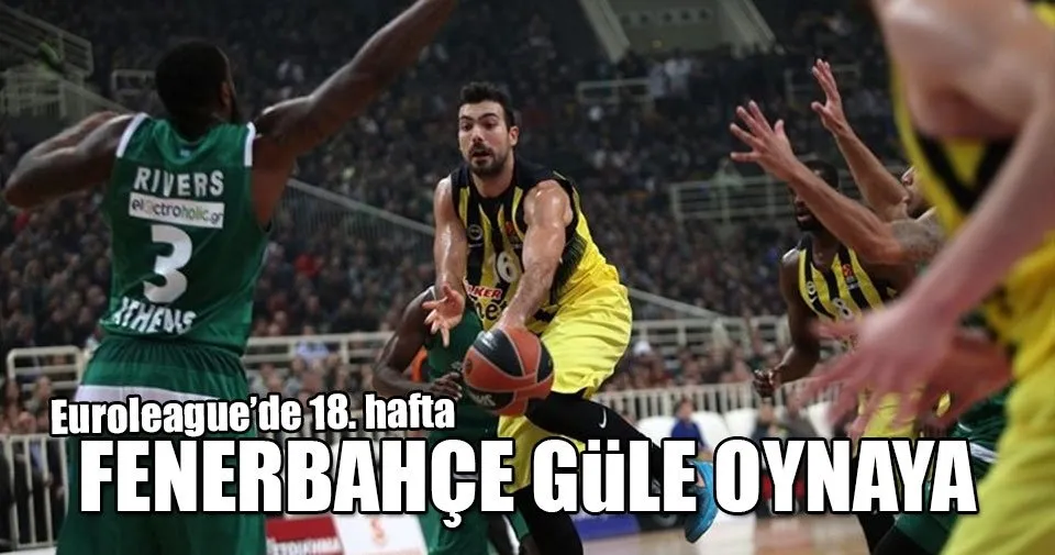 Fenerbahce Panathinaikos Mac Sonucu Spor Haberleri