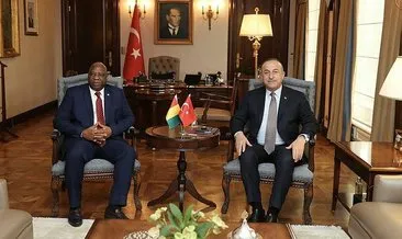 Dışişleri Bakanı Çavuşoğlu, Gineli mevkidaşı ile görüştü