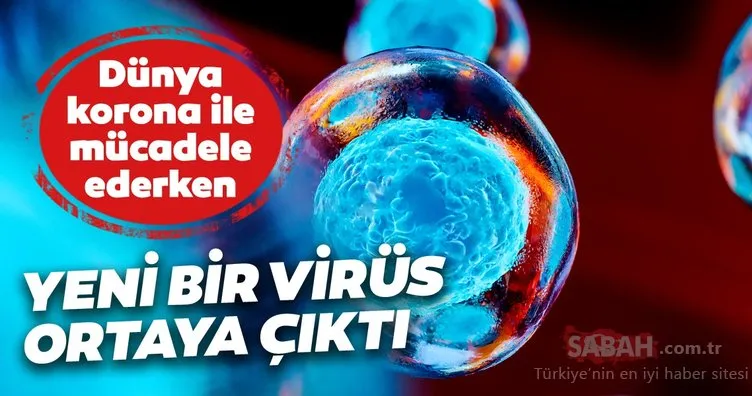 Son dakika haberi: Corona virüs Covid-19 vaka sayısıyla mücadele ediliyordu! Yeni bir grip virüsü ortaya çıktı