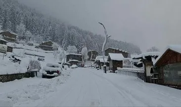 Rize ve Artvin’de kar: 119 köy yolu ulaşıma kapandı!