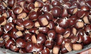 Kestanenin faydaları nelerdir? Kestanenin faydaları ve iyi geldiği sağlık sorunları