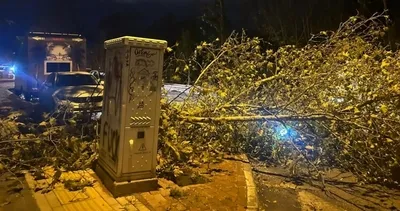 Lodos Bursa’yı 100 kilometreyle vurdu!