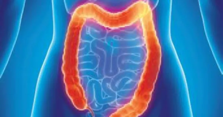 Yapay bağırsak geliştirildi