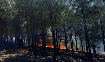 Adana’daki orman yangını kontrol altında