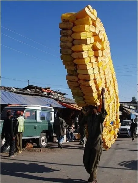 Böyle şeyler sadece Afrika`da olur!