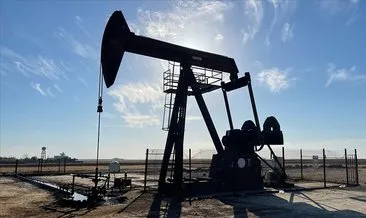 Petrolde 60 dolar senaryosu