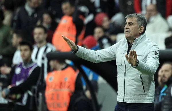 Şenol Güneş: Favori Lyon