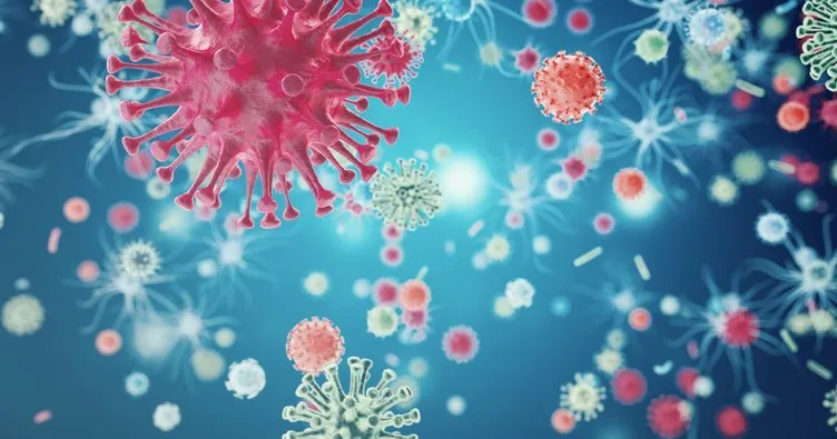 Japonya’dan corona virüsü açıklaması