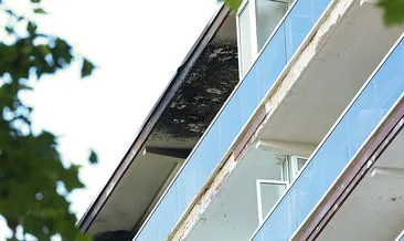Belçika’yı yasa boğan yangın: 6 kişinin cansız bedeni asansörde bulundu