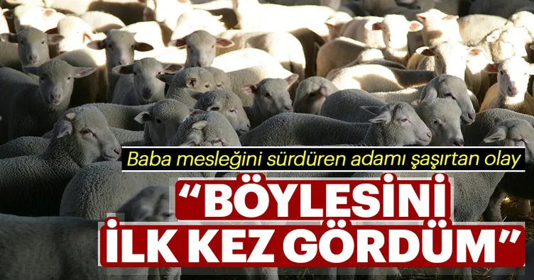 Böylesini ilk kez gördüm