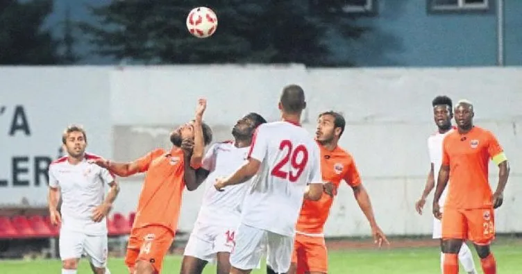 Toros Kaplanı Bolu’ya takıldı