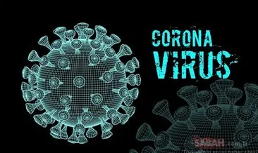 Corona virüs aşısı bulundu mu? Corona virüs aşı ve tedavi çalışmalarında son durum nedir? DSÖ korona virüs aşısı için tarih verdi