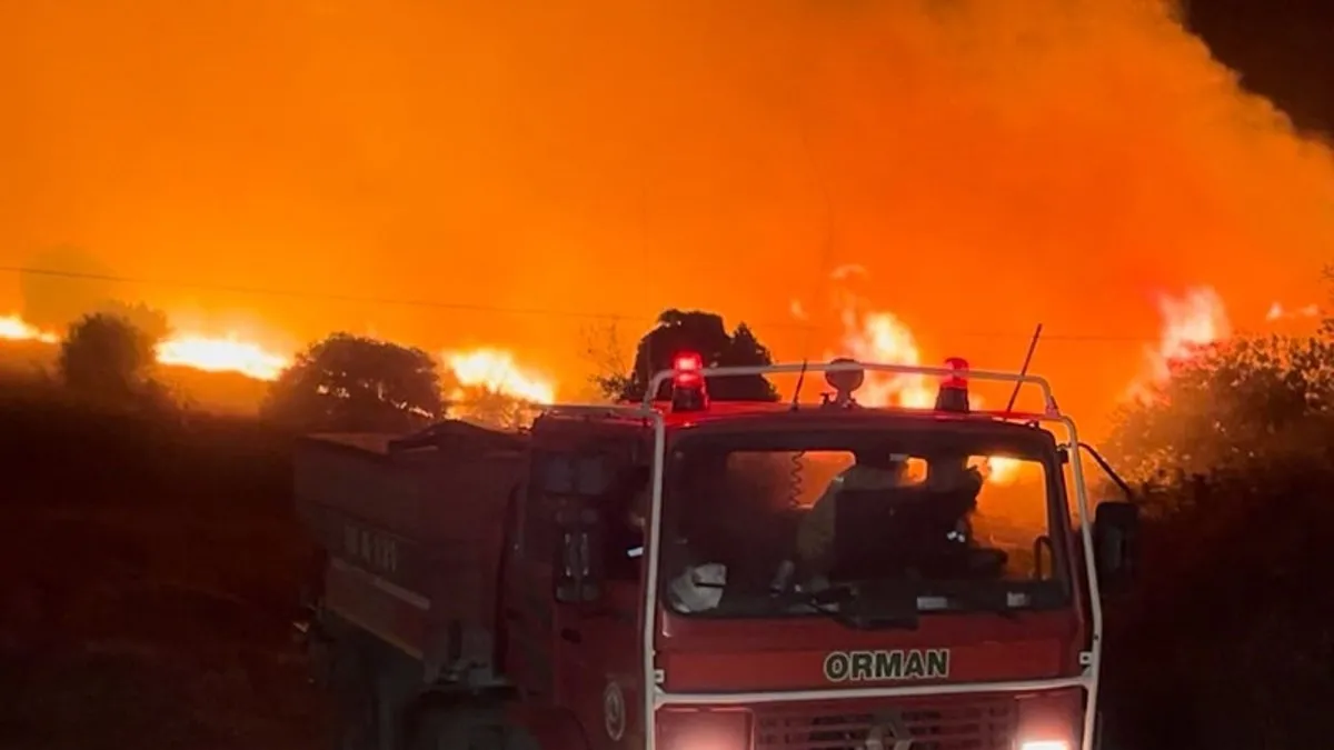 Bursa’da orman yangını! Yerleşim yerleri tahliye edildi
