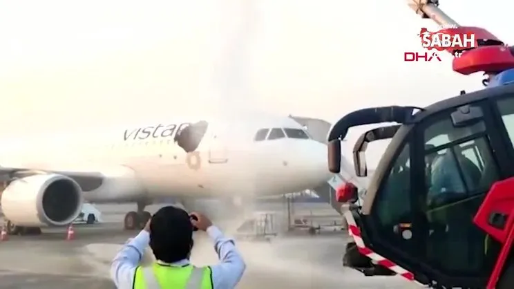 Hindistan'da arılar yolcu uçağını istila etti | Video