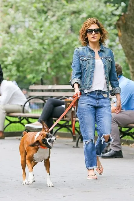 Jennifer Lopez’in köpeklerine özel bakım!