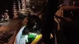 Midye avcıları suçüstü yakalandı!