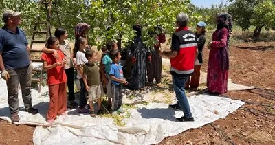 Şanlıurfa’da görevli ziraat mühendisleri fıstık bahçesinde #sanliurfa