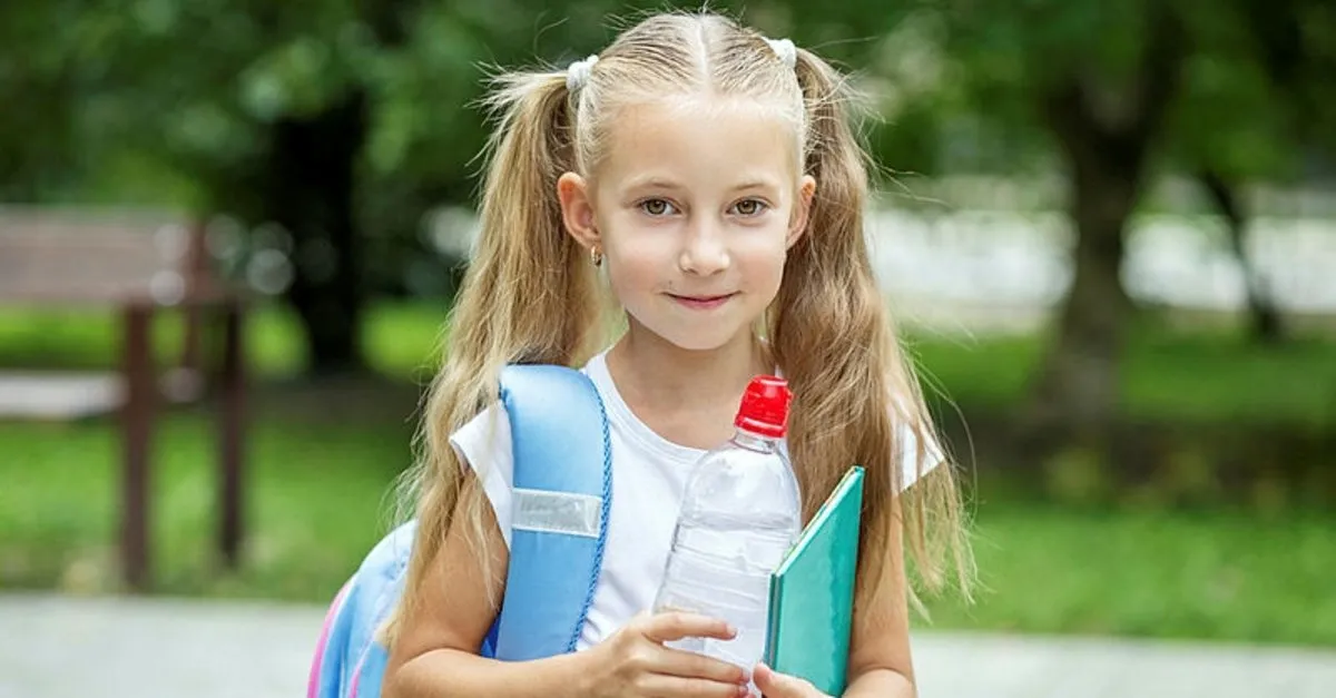 E Okul Kayit Sorgulama Ekrani Cocugum Hangi Okula Baslayacak Egitim Haberleri