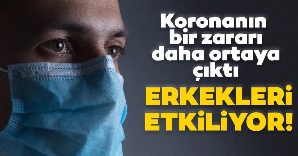 korona virus erkeklerde ureme sagligini